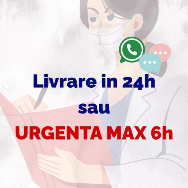 Traduceri online rapide engleza romana medicale & lucrari academice – Sector 6 - 2/3