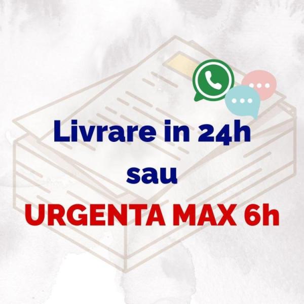 Traduceri ieftine Cluj engleza romana documente IT & academice - 2/3