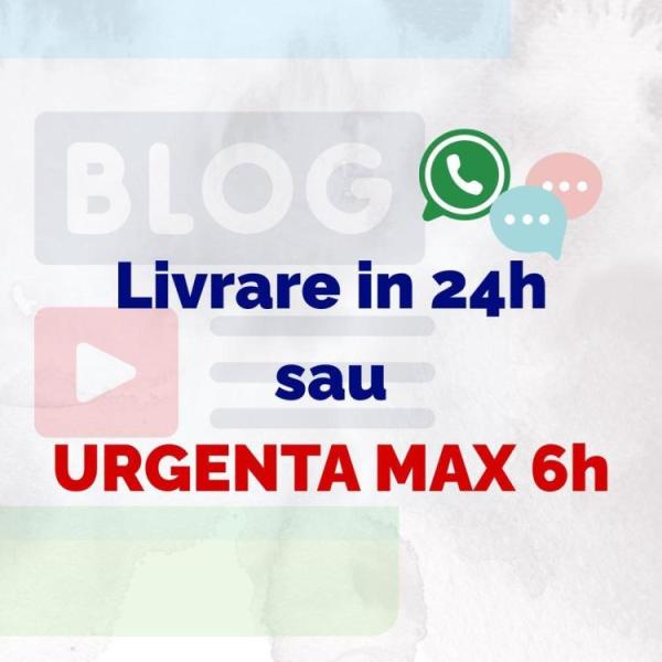 Traduceri ieftine Iasi traduceri engleza romana lucrari academice & articole - 2/3