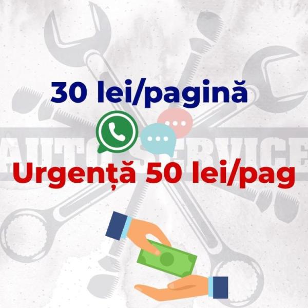 Traduceri ieftine Pitesti documente auto & tehnice - 3/3