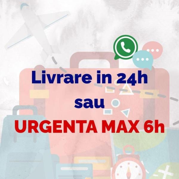 Traduceri ieftine Suceava documente pentru strainatate - 2/3
