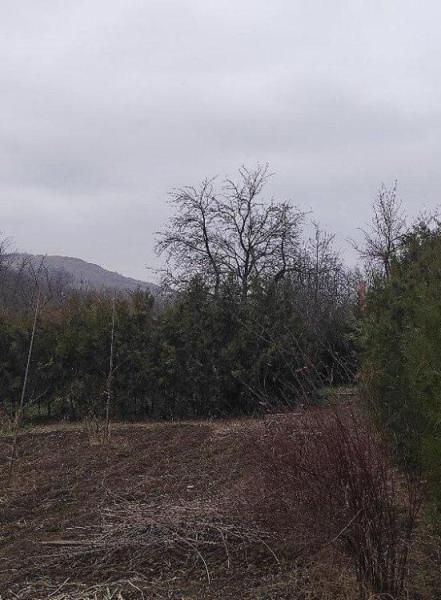 Vanzare/ schimb teren intravilan Miroslava