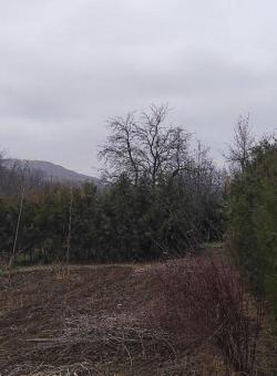 Vanzare/ schimb teren intravilan Miroslava